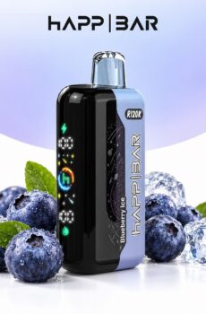 HAPP R120K – Blueberry Ice, 120 000 дръпки, с дисплей